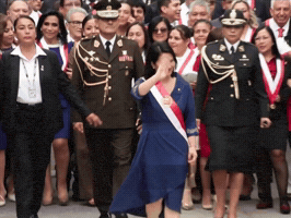 Keiko Fujimori Japan GIF