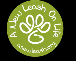Anlol GIF by A New Leash on Life