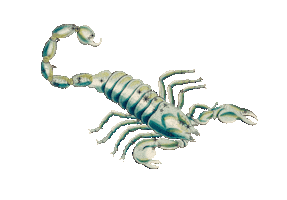 Horoscope Sticker
