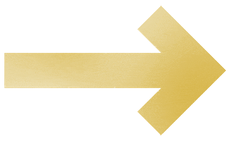 Arrow Gold Sticker