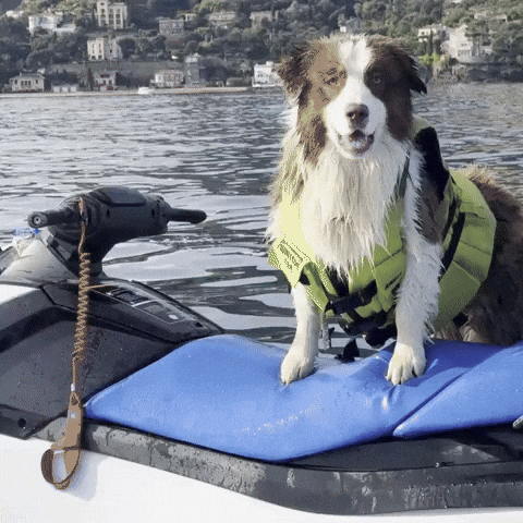 Jetski GIF