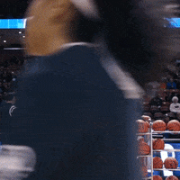 High Five Southeastern Conference GIF by gamecocksonline