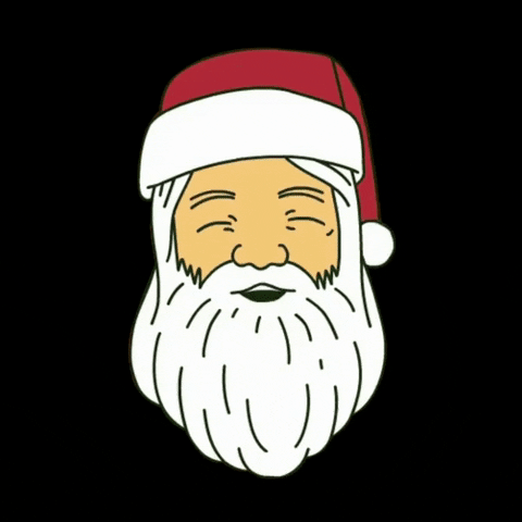 Santa Claus Christmas GIF by calendow