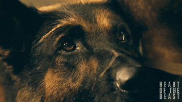 Heart of the Beast GIF