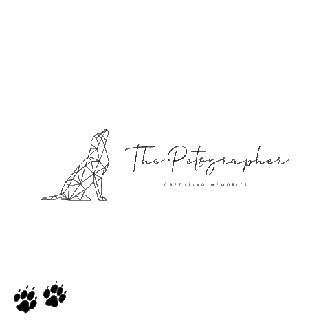 The Petographer Sticker
