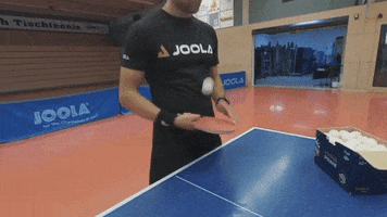 Ping Pong Bounce GIF by JOOLA Table Tennis
