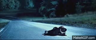 source.gif