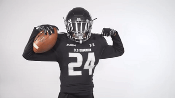 Monarchreign GIF by sgrubbs