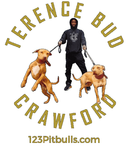 Terence Crawford Pitbull Sticker by Chico Lopez