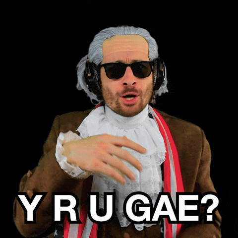 Why Are You Gay GIF