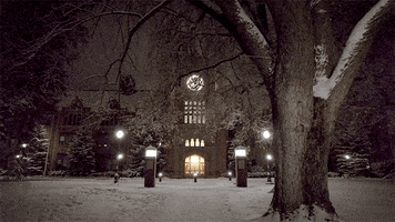 Snow Holiday GIF by University of Idaho
