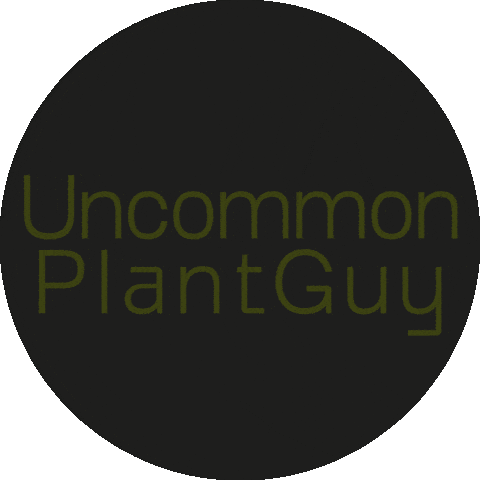 UncommonPlantGuy Sticker