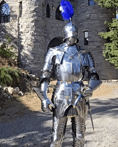 Bow Knight GIF