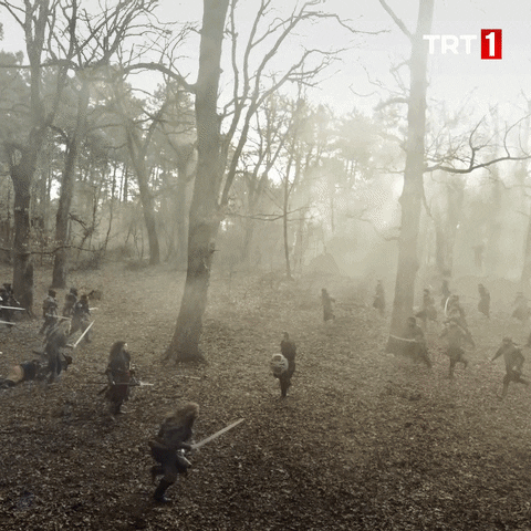 War Forest GIF by TRT