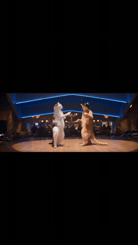 Dance GIF