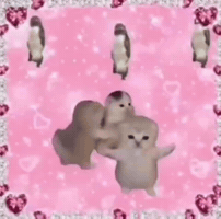 Cat Dance GIF