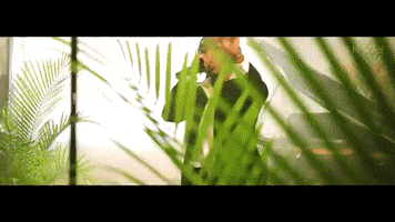 200.gif?cid=fc005b08f6909d062e61b231d582109da0baf546857686d7&rid=200.gif&ct=g