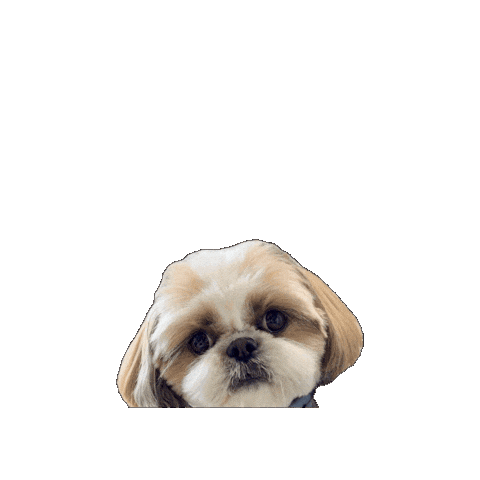 Roku Sticker