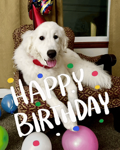 Happy Birthday GIF