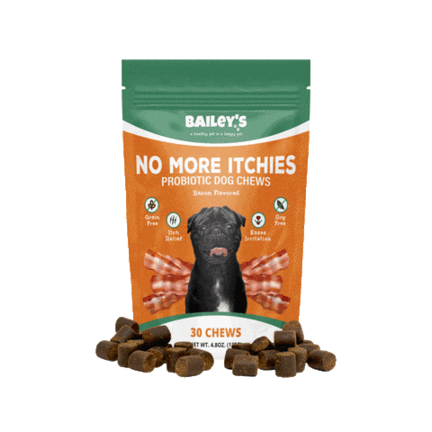 Dog Pug Sticker by Bailey's CBD