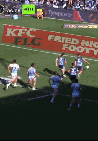 Sharks GIF