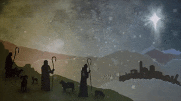 Christmaschawmia GIF