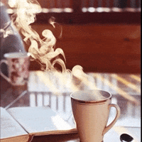 coffee happiness GIF by The Videobook