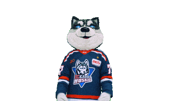 Huskie Sticker by EC Kassel Huskies
