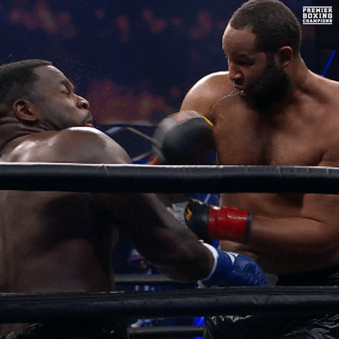 Fight Knockout GIF by Premier Boxing Champions