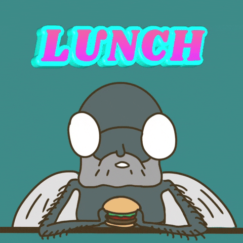 Fly Eat GIF by Bird Town