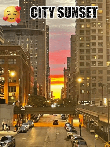 Cars GIF
