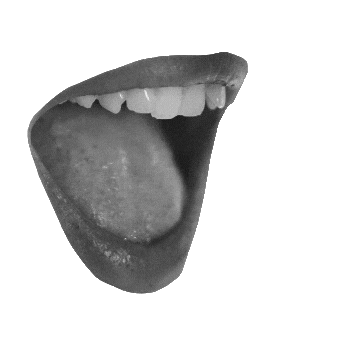 cognamentos Sticker