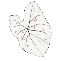 Happy Sticker