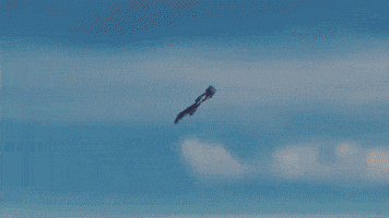 A10 GIF
