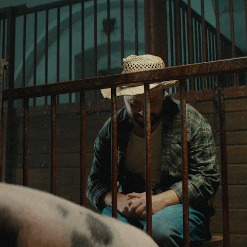 Prasa GIF by Fio banka