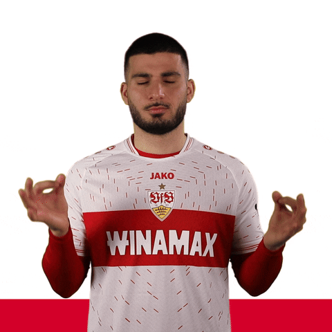 Deniz Undav Chill GIF by VfB Stuttgart