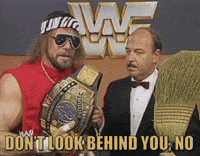 Randy-savage GIFs - Get the best GIF on GIPHY