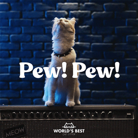 WorldsBestCatLitter band laser rock and roll youre welcome GIF