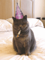 birthday guess GIF