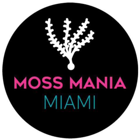 miami moss Sticker