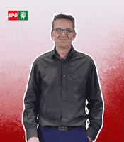 Styria GIF by SPÖ Steiermark