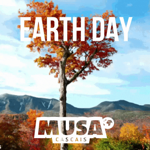 day earth GIF by FESTIVAL MUSA CASCAIS