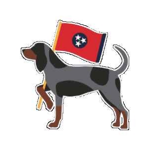 vol trad Sticker
