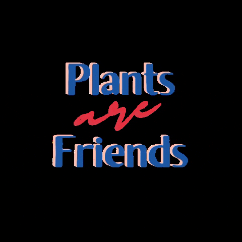 Friends or Friends GIF