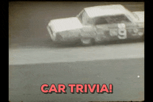 rosemarylintbucketcom car race GIF