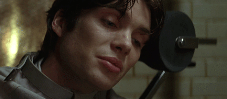 You Cant Stop It Now Cillian Murphy GIF