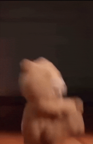 Ted GIF