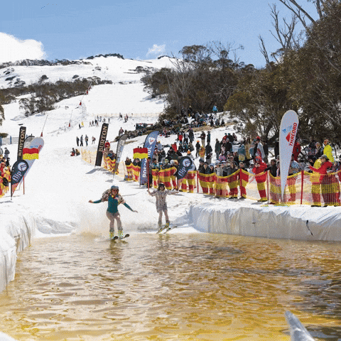 GIF by Thredbo