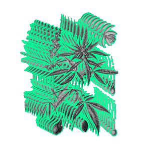 Weed Cannabis Sticker by The Hemp Project