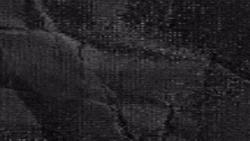 Bollywood Legend GIF